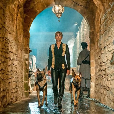 dog breed john wick 3|John Wick 3: How Halle Berry Became a Dog Trainer